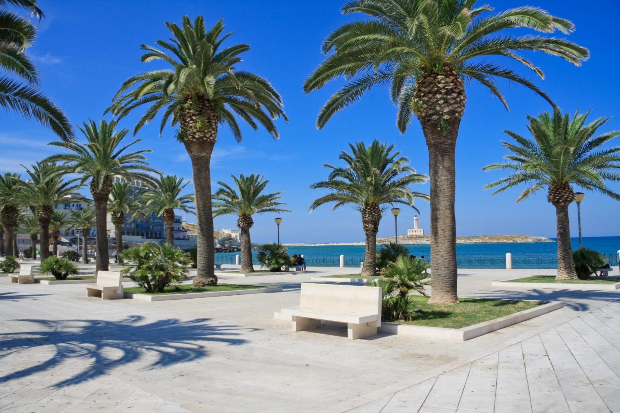 Casa Vacanza Vieste In Centro - Maison Del Borgo Bagian luar foto